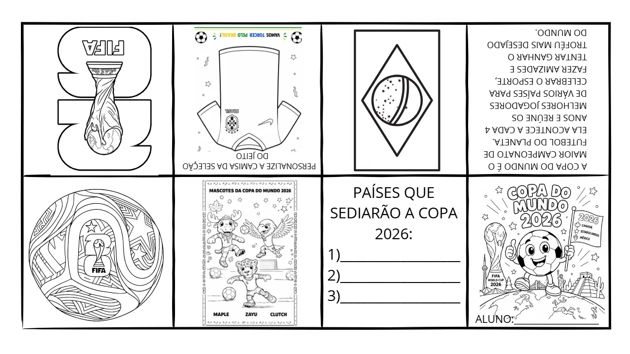 LIVRO MINUTO COPA DO MUNDO