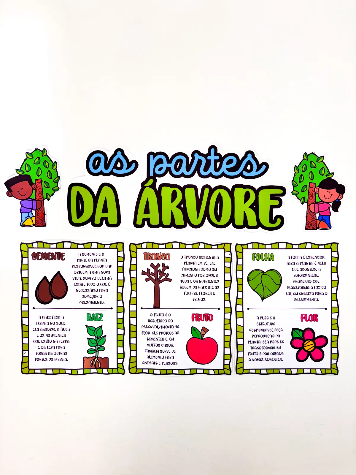 As Partes da Árvore
