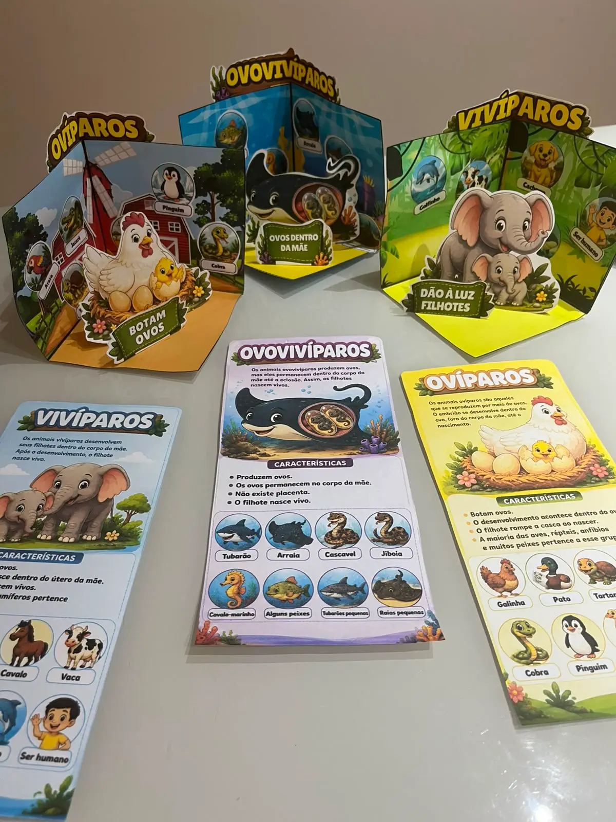 MAQUETES INTERATIVAS — TIPOS DE REPRODUÇÃO DOS ANIMAIS