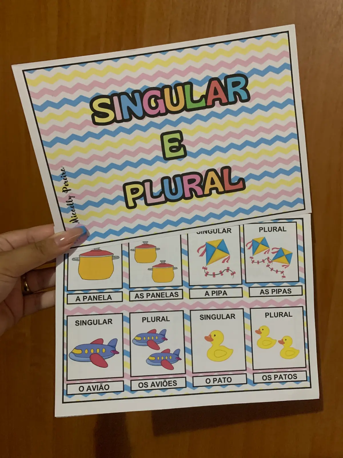 SINGULAR E PLURAL