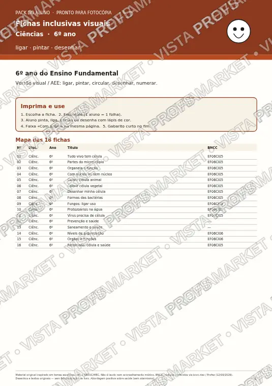 Fichas inclusivas visuais — Ciências (6º ano)