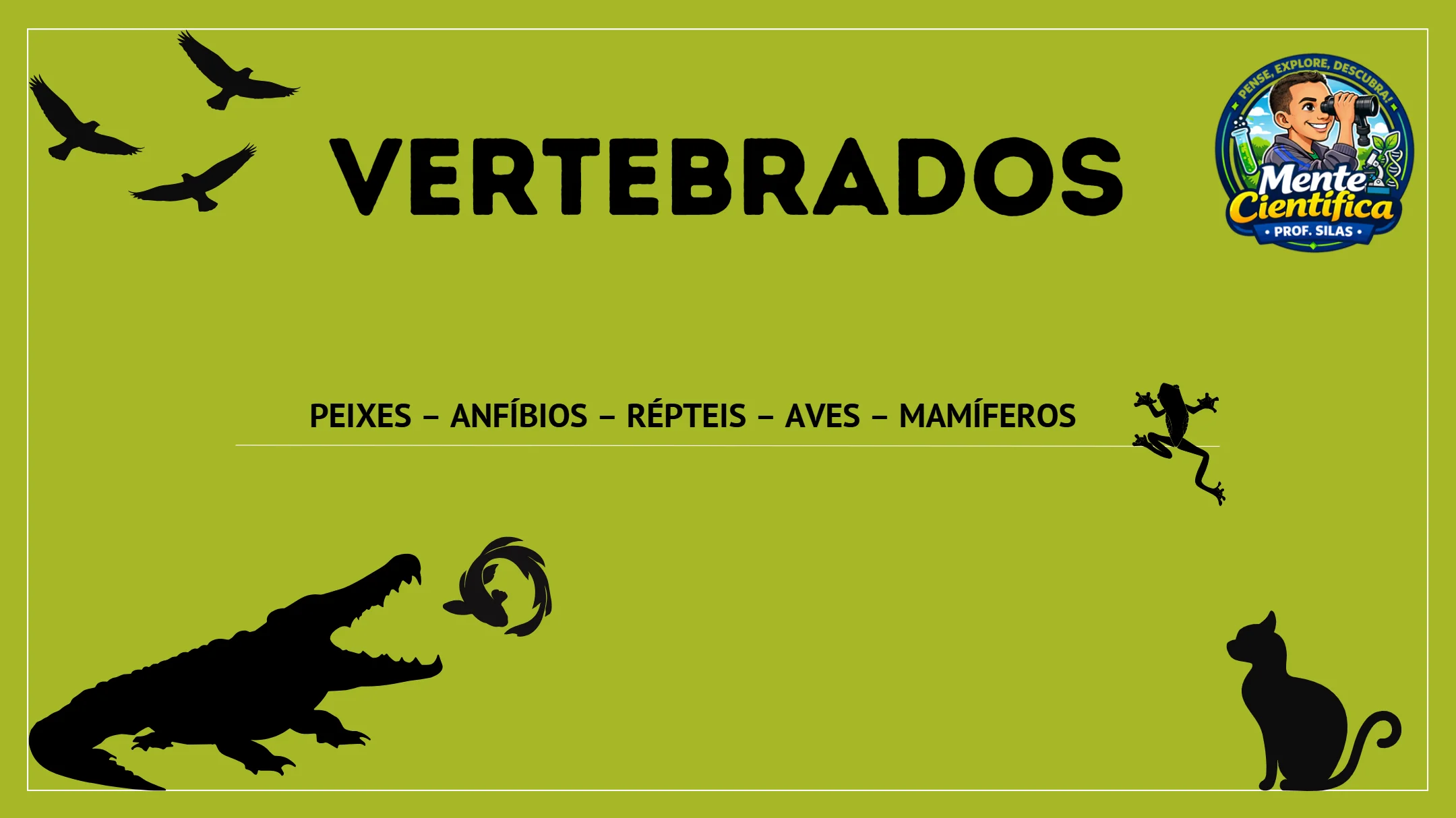 Slides - Os Vertebrados