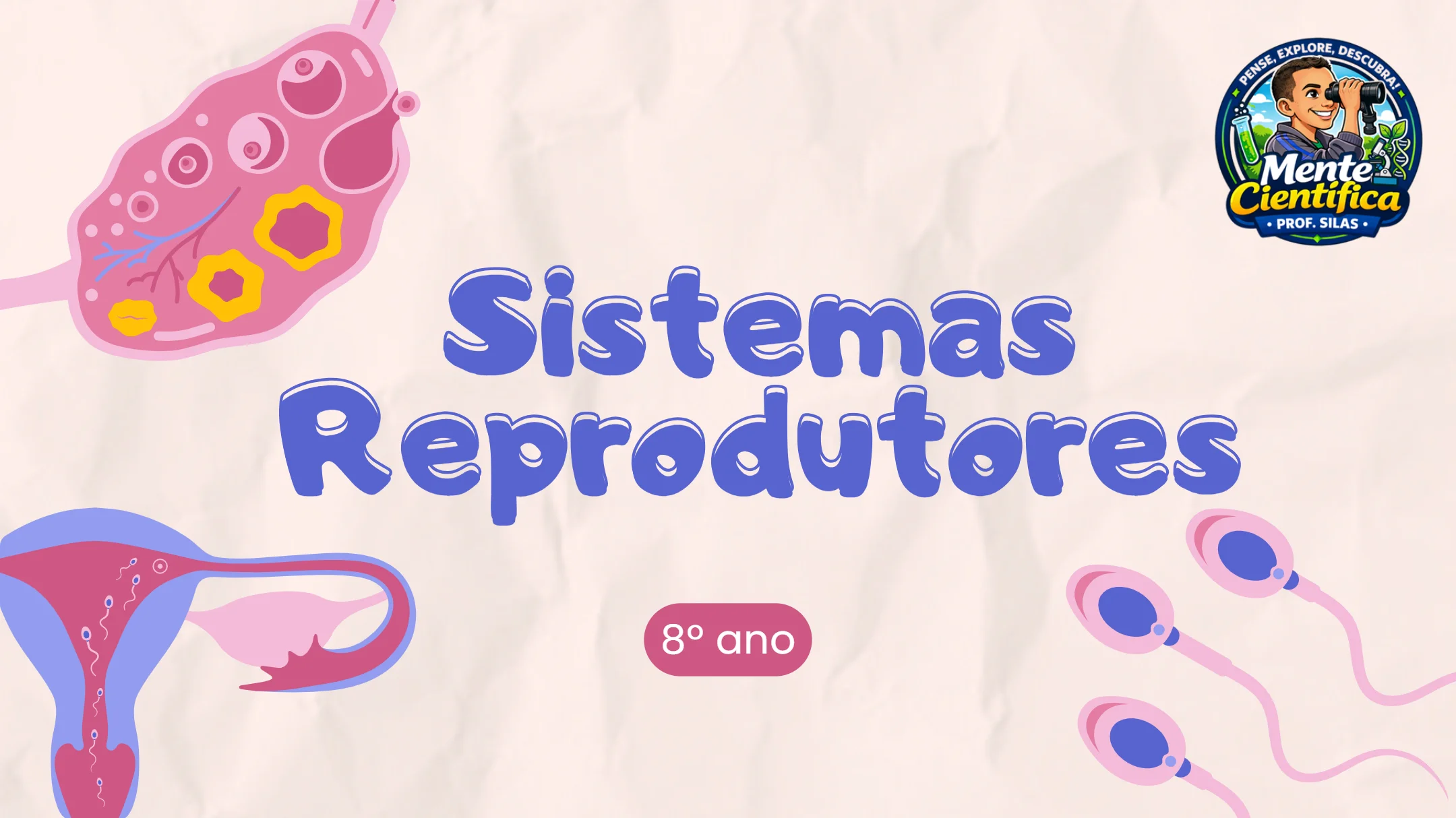 Slides - Sistemas Reprodutores