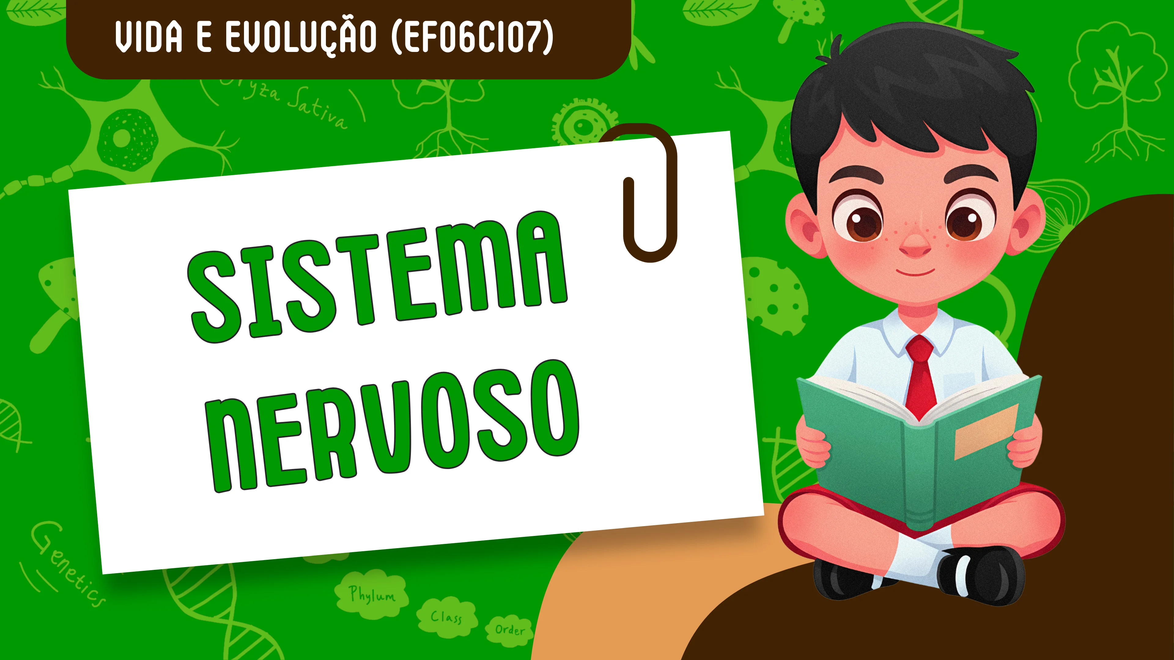 Sistema nervoso - slide