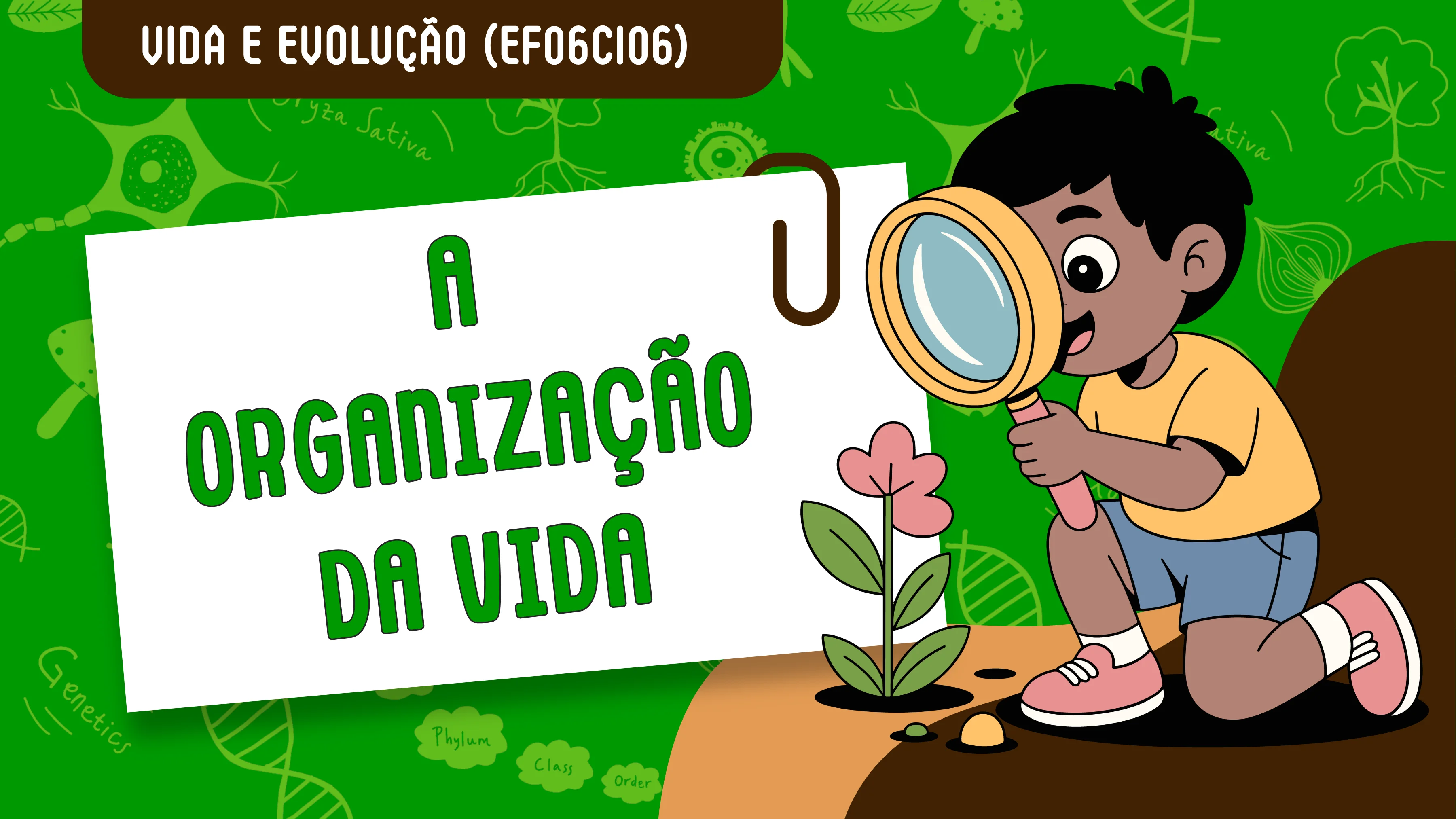 A organização da vida - slide